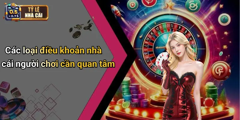Các loại điều khoản nhà cái người chơi cần quan tâm
