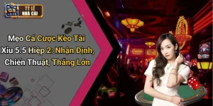 Mẹo Cá Cược Kèo Tài Xỉu 5.5 Hiệp 2: Nhận Định, Chiến Thuật, Thắng Lớn