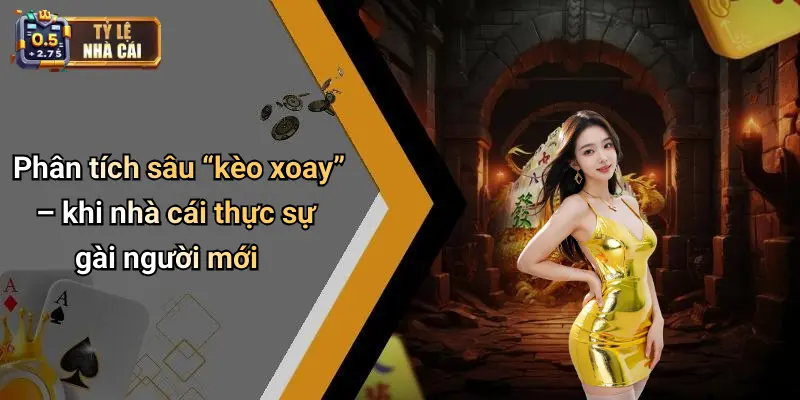 Phân tích sâu “kèo xoay” – khi nhà cái thực sự gài người mới