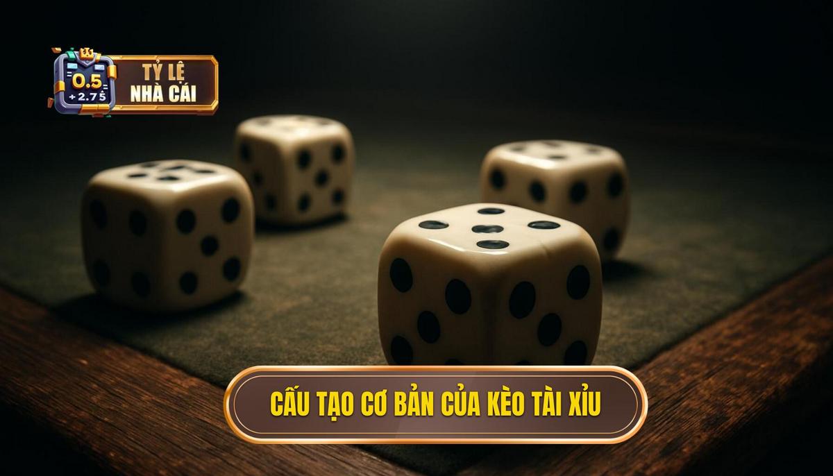 Cấu Tạo Cơ Bản Của Kèo Tài Xỉu 6.25