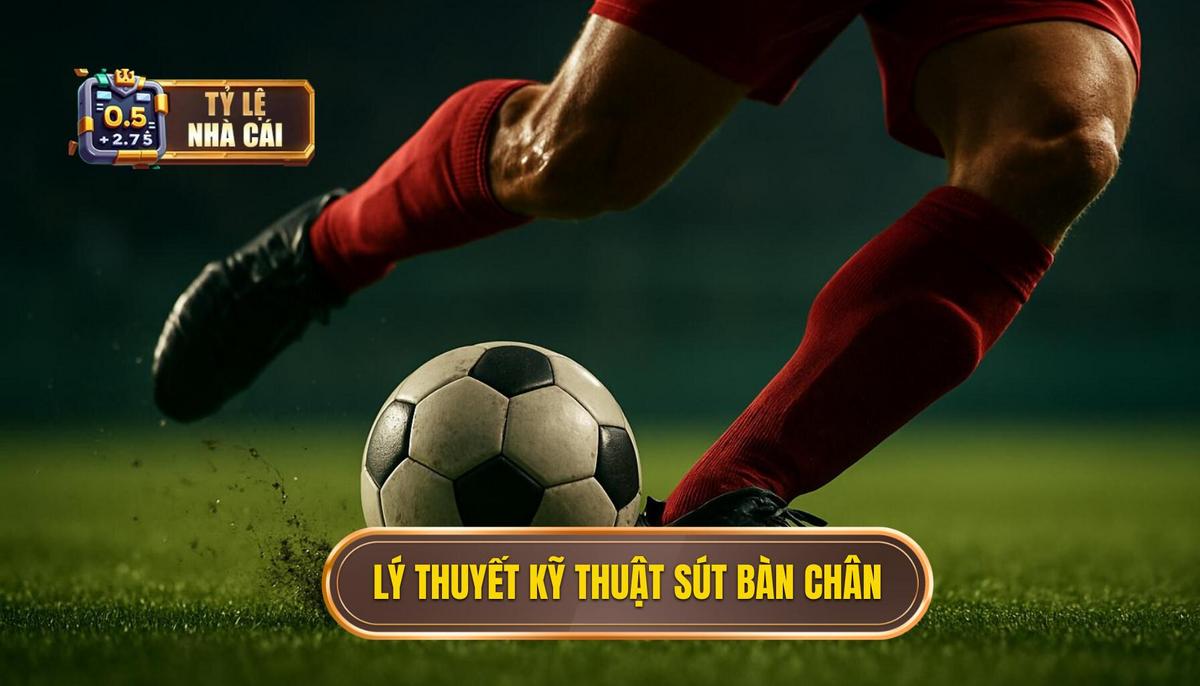 Nền Tảng Lý Thuyết Của Kỹ Thuật Sút Lòng Bàn Chân