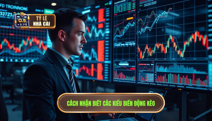 Cách nhận biết các kiểu biến động kèo